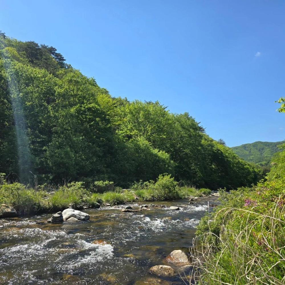 Pyeongchang Heungjeong Valley 409 Pension エクステリア 写真